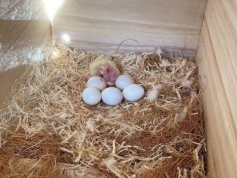 WhatsApp-Image-2023-01-03-at-03.44.32-2-600x575