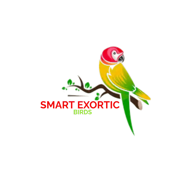 cropped-parrot-logo.png